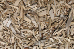 biomass boilers Llanfabon